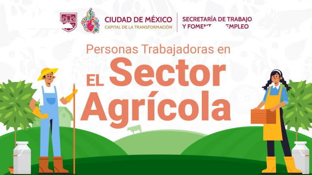 Personas Trabajadoras en el sector agrícolas